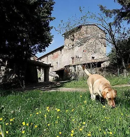 Casa Corzanello San Casciano in Val di Pesa
