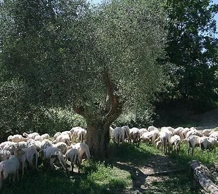 Casa Corzanello * San Casciano in Val di Pesa